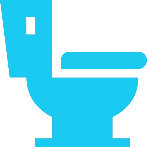 Disinfection of restrooms according to sanitary standards